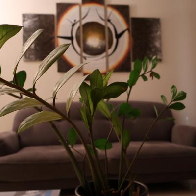 Dr Thomopoulou Iatreio 52